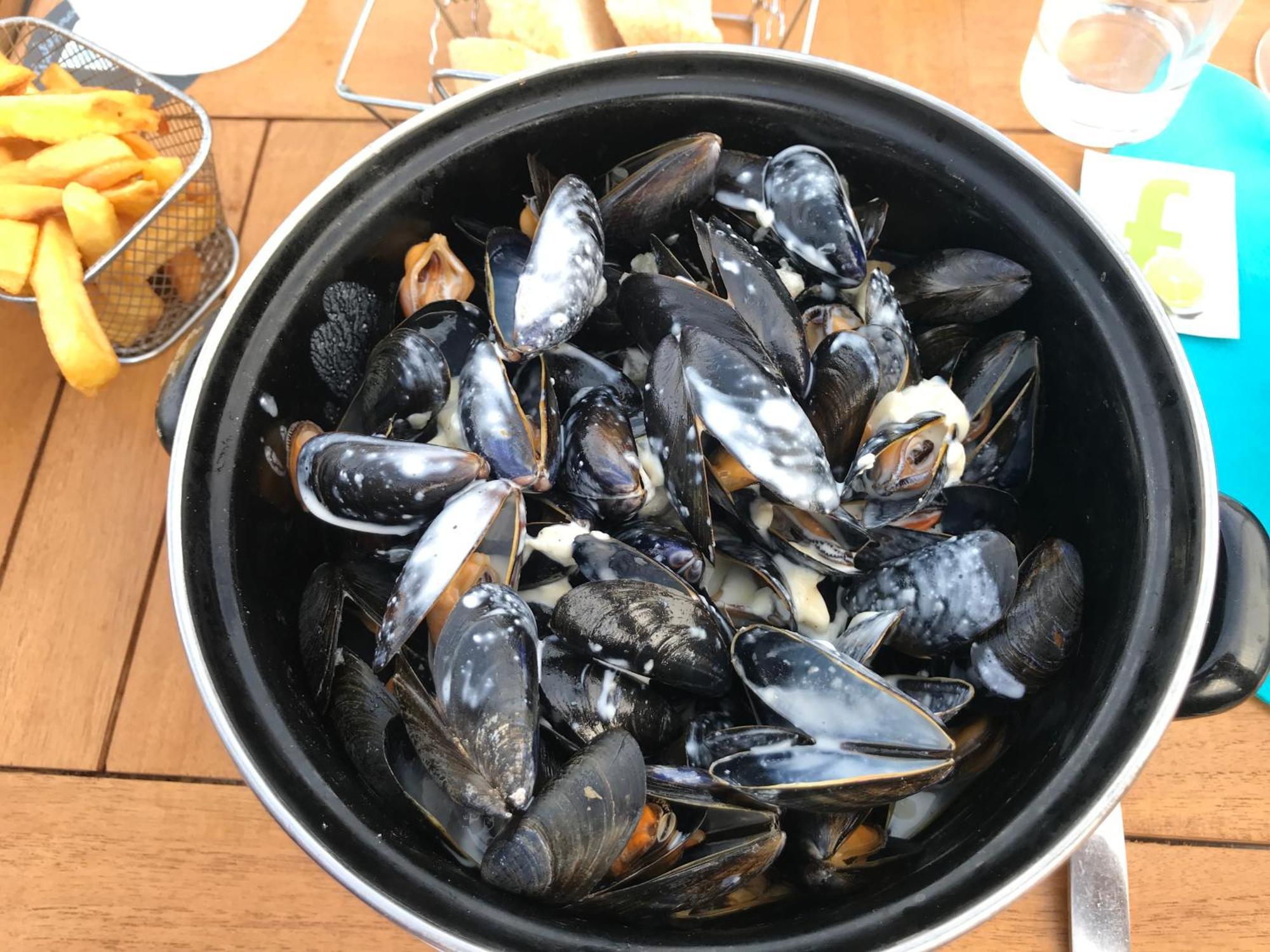 Bleu Sale - F2 Courseulles Avec Balcon Courseulles-sur-Mer Exterior foto